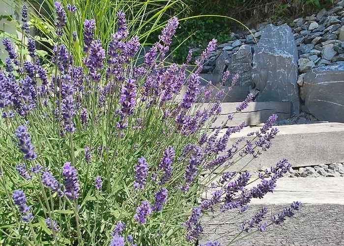 L'o - Charm And Modernity *