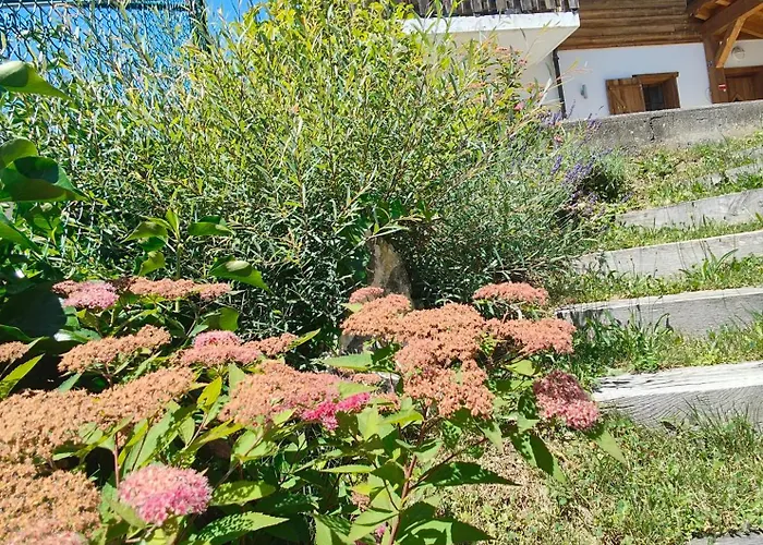 L'o - Charm And Modernity 奥瓦伦纳茨