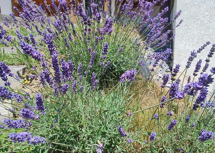 L'o - Charm And Modernity Chalet *